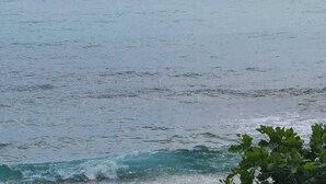 Vista de un mar tranquilo con olas suaves y algo de vegetación en primer plano.