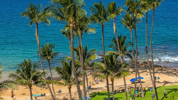 Una spiaggia con palme e vista sull'oceano.