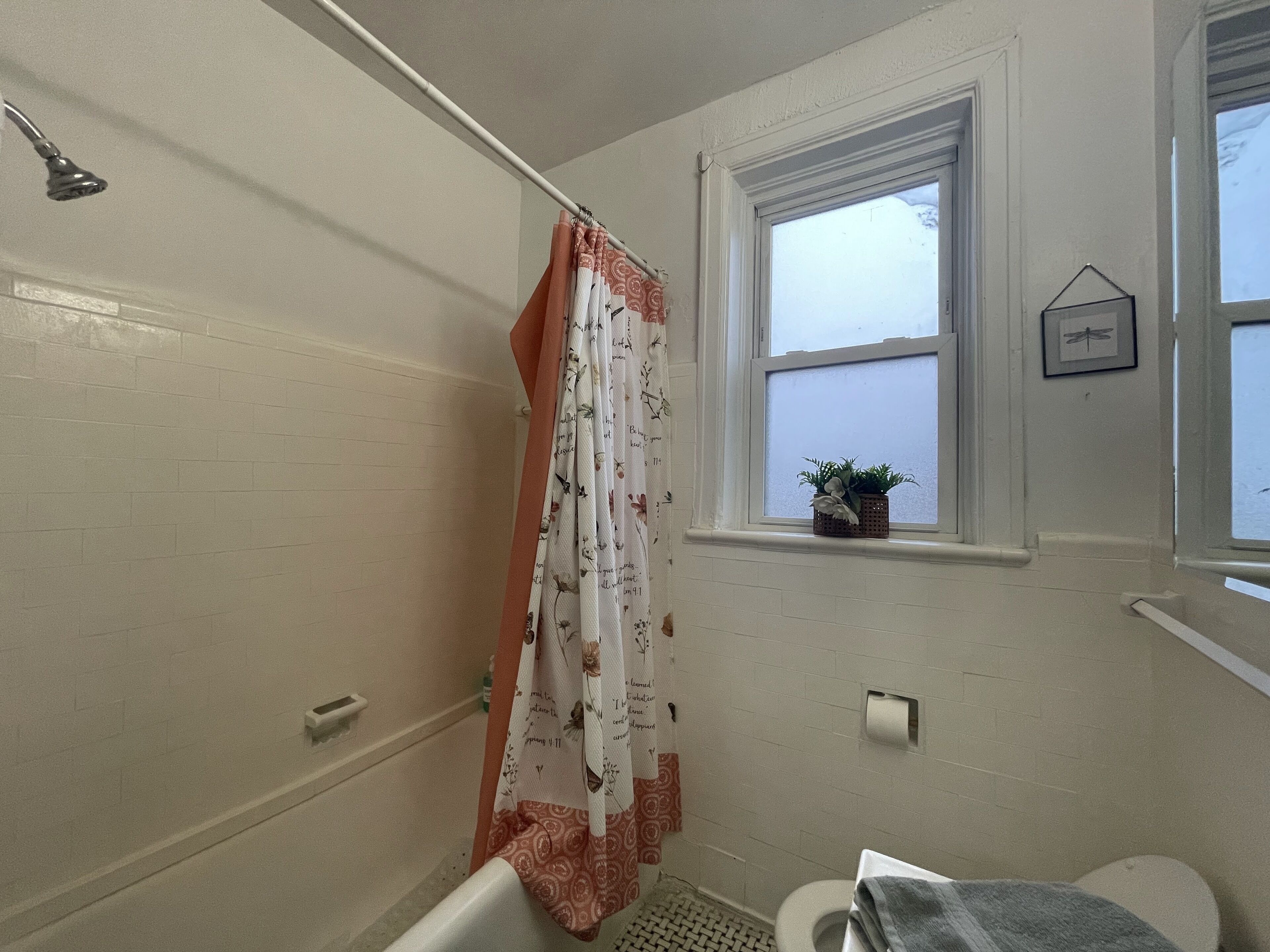 Ein Badezimmer mit Dusche, Toilette und einem Fenster mit Pflanze.