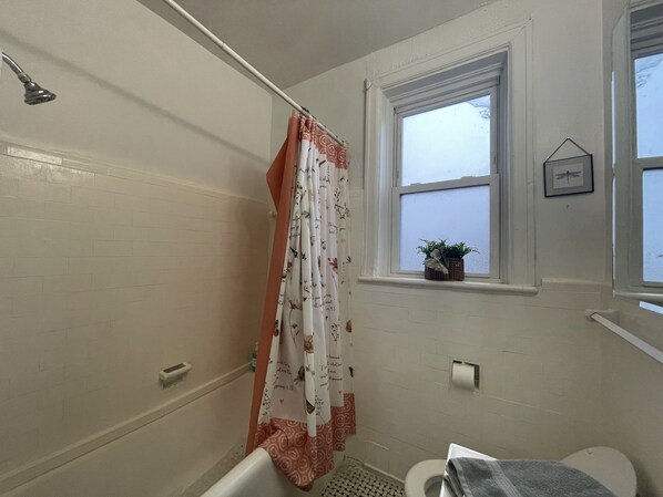Un baño con ducha, inodoro y una ventana con planta.