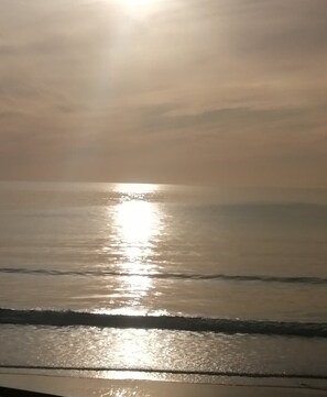 Beach nearby - Le Courlis, two minutes from the beach (Hauteville-sur-Mer)