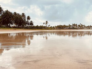 Appartement | Plage