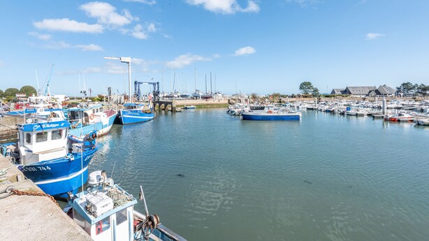 Una marina con varios barcos amarrados, una grúa y un puente al fondo.