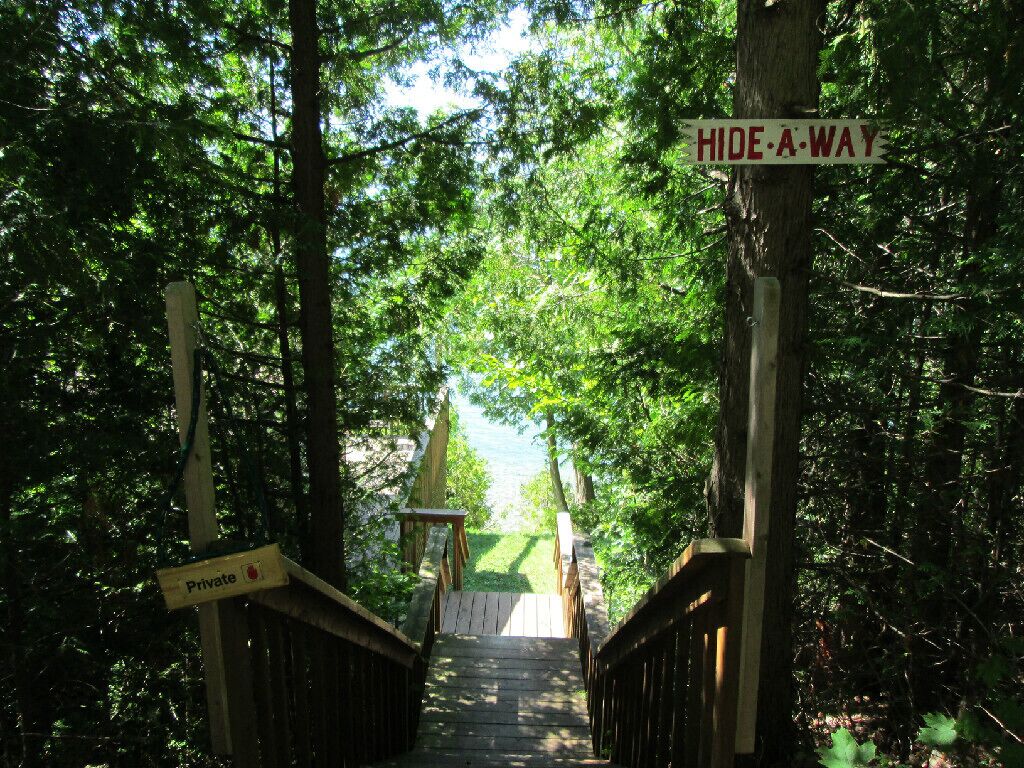 A wooden staircase leading up to a private area, surrounded by dense trees.