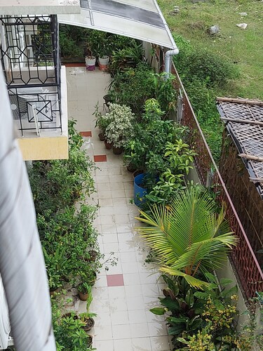 Serene Peaceful Flat