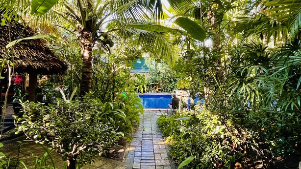 A pathway lined with lush greenery and a blue pool in the background.