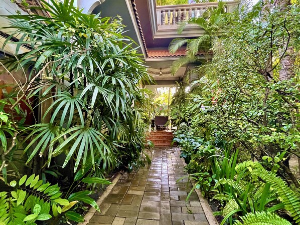 A narrow, wet stone pathway flanked by lush green plants and trees, leading to a covered area with a bench.