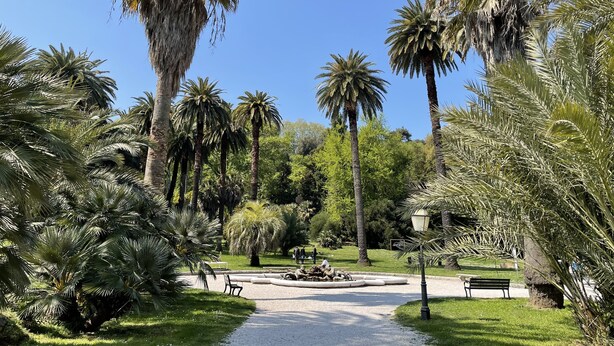 Un parque con palmeras, un sendero, bancos y una fuente.