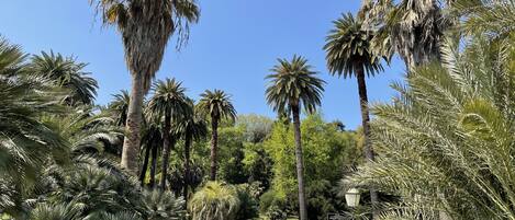 Parco della struttura