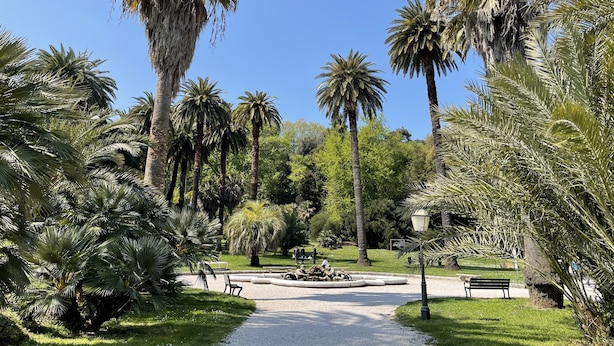 A park with palm trees, a pathway, benches, and a fountain.