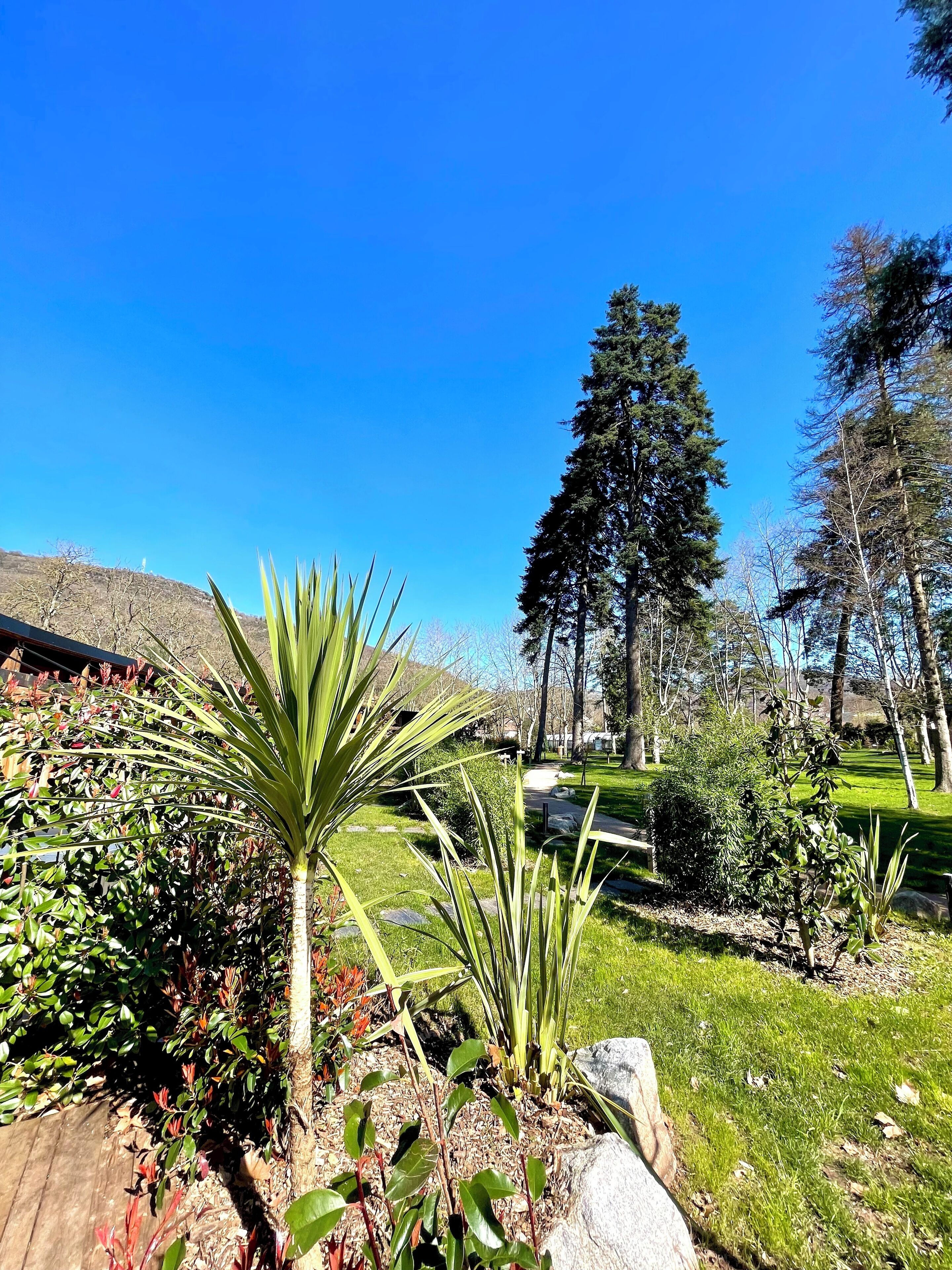 Terrein van de accommodatie