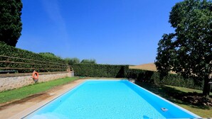 A rectangular swimming pool with a tiled edge, surrounded by a stone wall and a hedge.