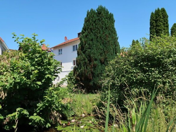 Un quartier résidentiel avec une maison blanche, un grand conifère et une végétation dense.