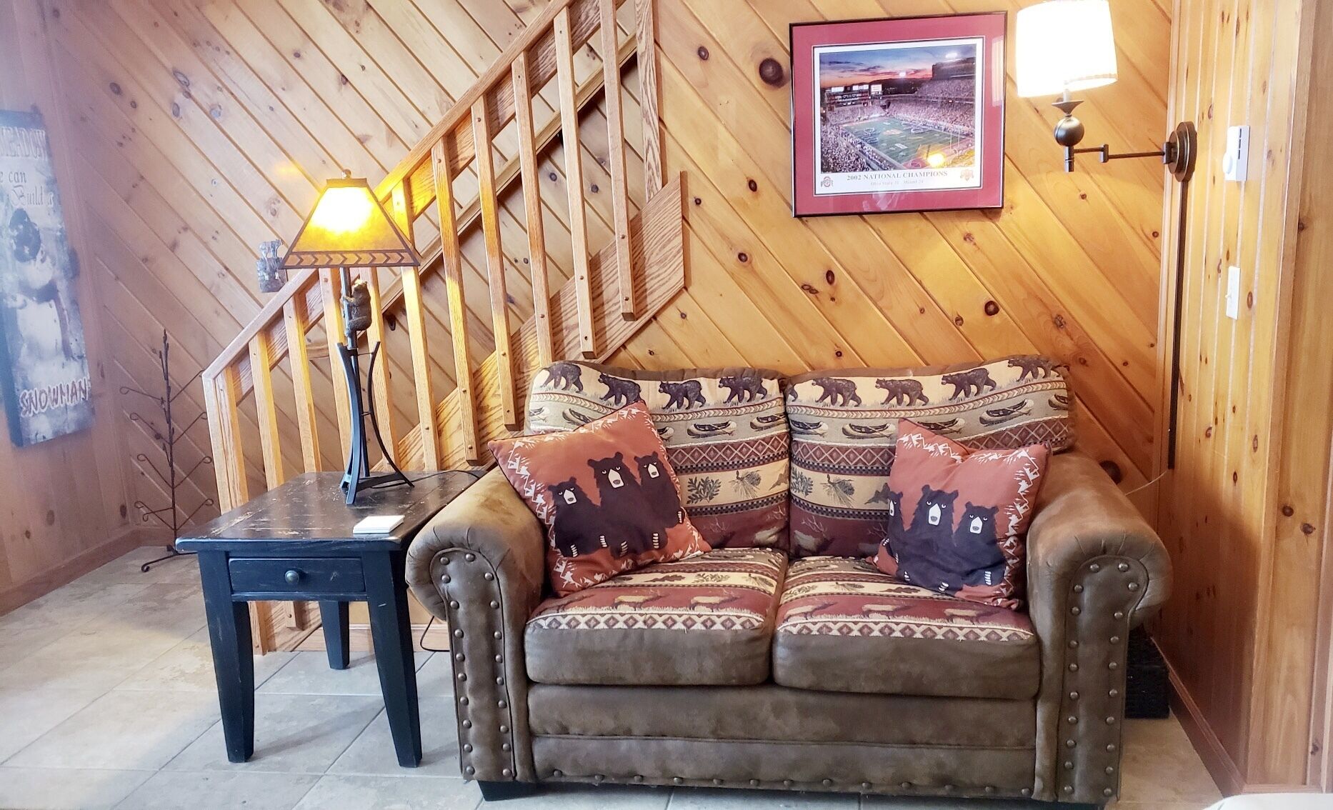 TV, fireplace, DVD player, books