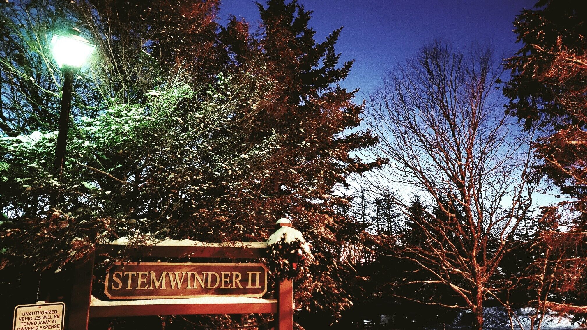 Un letrero con el nombre 'STEMWINDERTI' en una zona boscosa de noche.