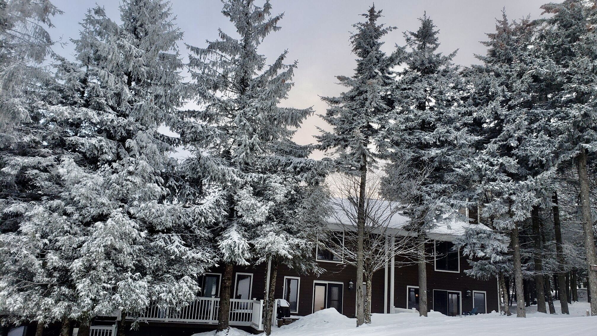 SKI/IN  SKI/OUT.   BEST LOCATION AT SNOWSHOE    STEMWINDER 15