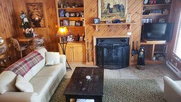 Televisión, chimenea, reproductor de DVD y libros