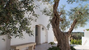Un edificio blanco con un banco de piedra, un árbol y una puerta.