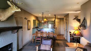 Télévision, cheminée, lecteur de DVD