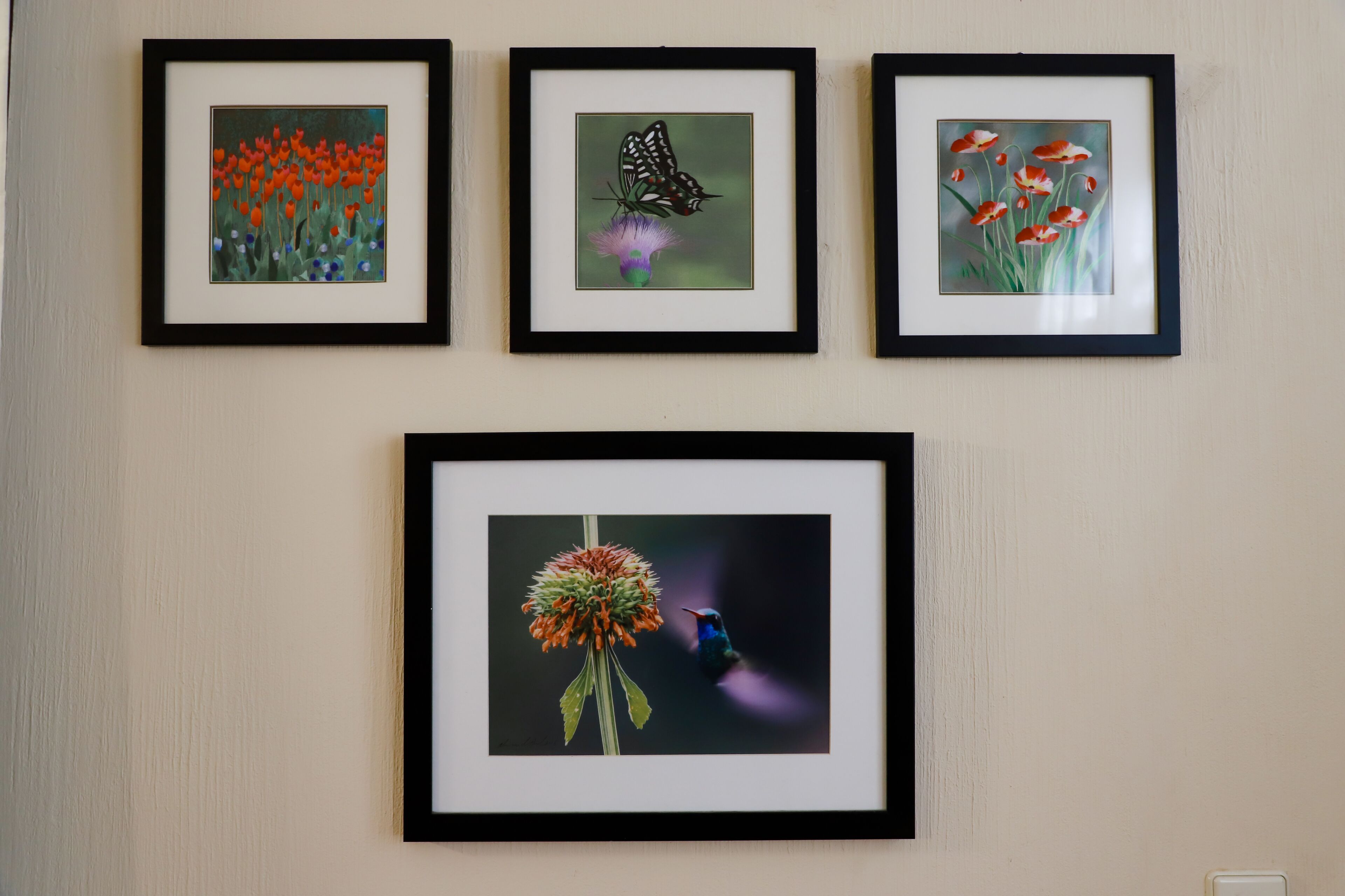 Three framed pictures of flowers and a hummingbird on a wall.