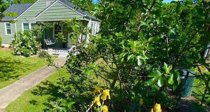 The Green House - 3 bedrooms on friendly street
