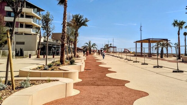 A pathway lined with palm trees and a building with balconies.
