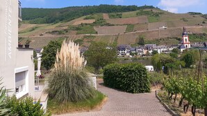 Un vigneto terrazzato su una collina, con una chiesa e il suo campanile, e edifici residenziali.