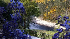 Ein Pool, umgeben von violetten Blumen, einem Fluss und einem bewaldeten Hügel.