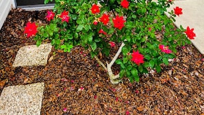 A patio with a table and chairs, a potted plant, and a garden bed with red flowers. - CLEAN, CLEAN, CLEAN; Walk to pools; Golf Cart Included; NO Xtra guest fees !!! (The Villages)