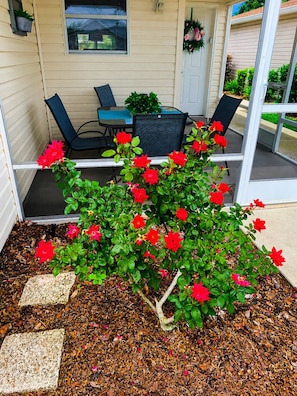 A patio with a table and chairs, a potted plant, and a garden bed with red flowers. - CLEAN, CLEAN, CLEAN; Walk to pools; Golf Cart Included; NO Xtra guest fees !!! (The Villages)
