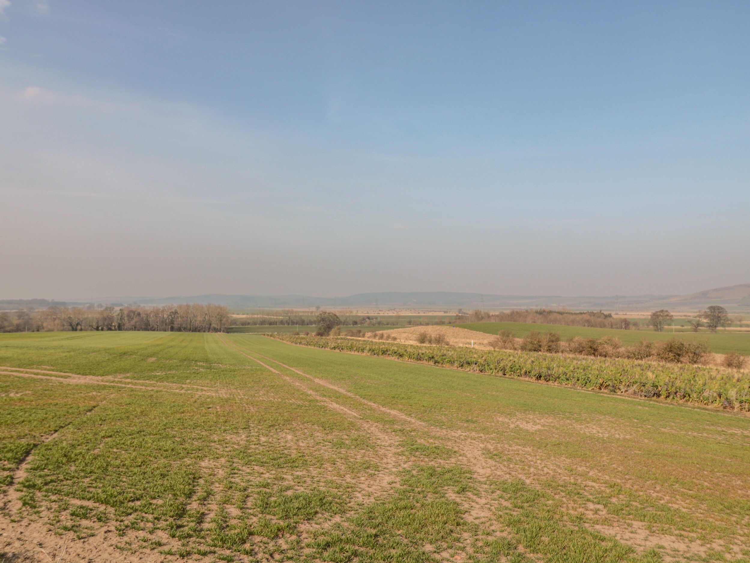 Un campo extenso y abierto con un sendero de tierra que lo atraviesa.