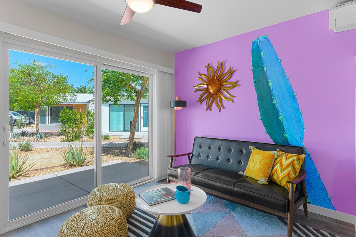 Een moderne woonkamer met een paarse wand, een zwarte bank en een cactusdecoratie.