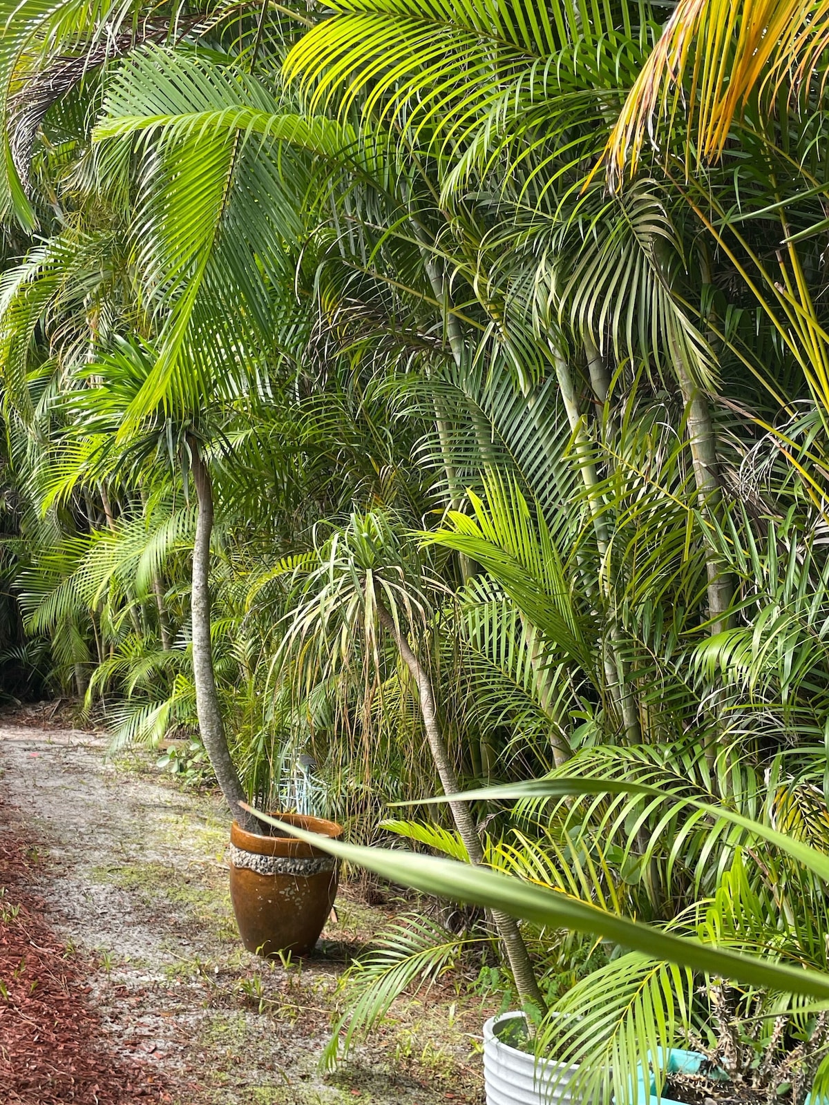 Photo 38 of Rare Find! Tropical Garden Lux Villa -heated pool and spa-12 min from the beach!