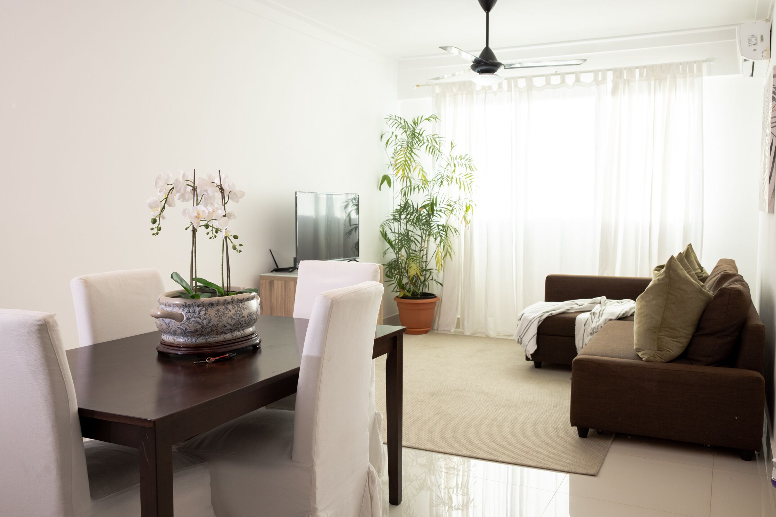 Een woonkamer met een bruine bank, een eettafel met stoelen, een televisie en een plant in pot.