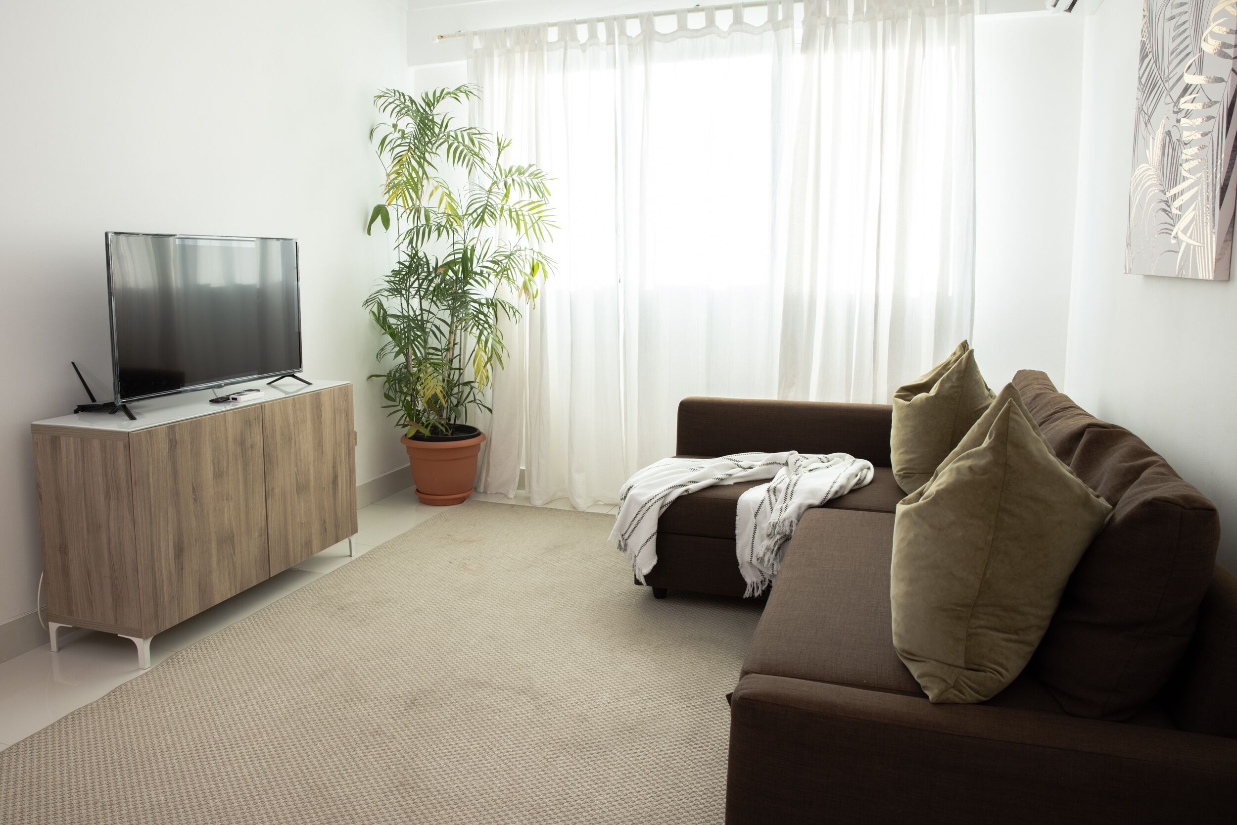 Un salon moderne avec un téléviseur à écran plat posé sur un meuble en bois, un canapé marron agrémenté de coussins, une plante en pot et une grande fenêtre ornée de rideaux légers.