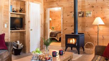 Télévision, cheminée, lecteur de DVD