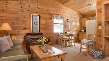 TV, fireplace, DVD player