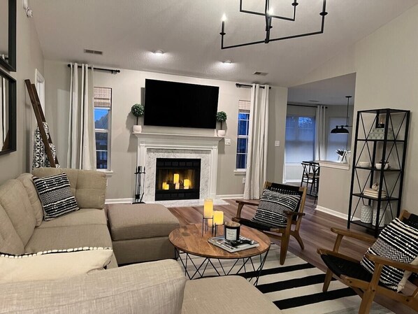 TV, fireplace, video games, books