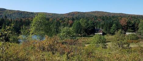 A rural landscape with a house surrounded by dense forest and hills.