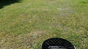 Un espacio al aire libre con césped, una mesa de picnic y una cesta negra.