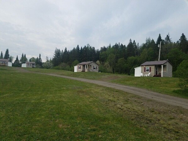 A rural setting with several small, single-story houses with attached porches, surrounded by a grassy field and dense forest.
