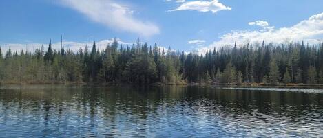 Un lago tranquillo con una riva alberata e un cielo sereno.