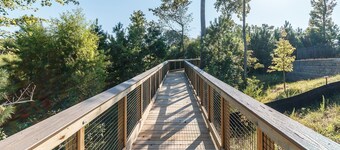 New Modern Home near RDU-1st floor bedroom