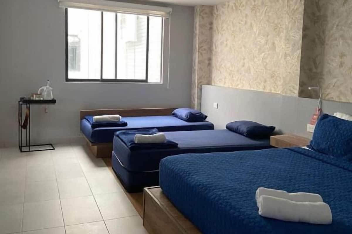 Quarto quádruplo standard | Edredons de pluma, cofres nos quartos, cortinas blackout