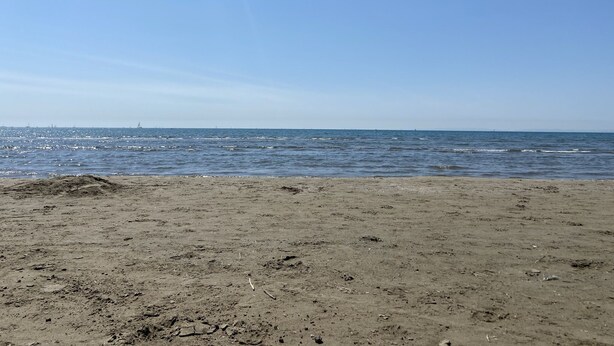 Een strand met een heldere lucht en een rustige zee.