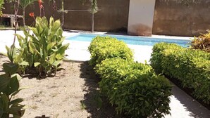 Zona de piscina con muro de hormigón, diversas plantas y cielo azul despejado.