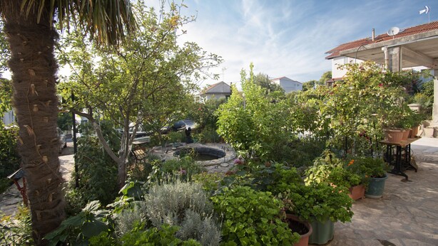 A courtyard with a palm tree, potted plants, a stone fountain, and a building with a tiled roof.