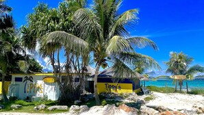 Un edificio frente a la playa con un cartel que dice "Tipis" y palmeras.