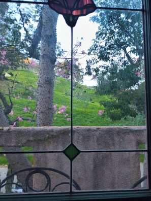 Interior - Idyllic rustic country house for extended stay over 30 days ideal for World cup  (Sylmar)