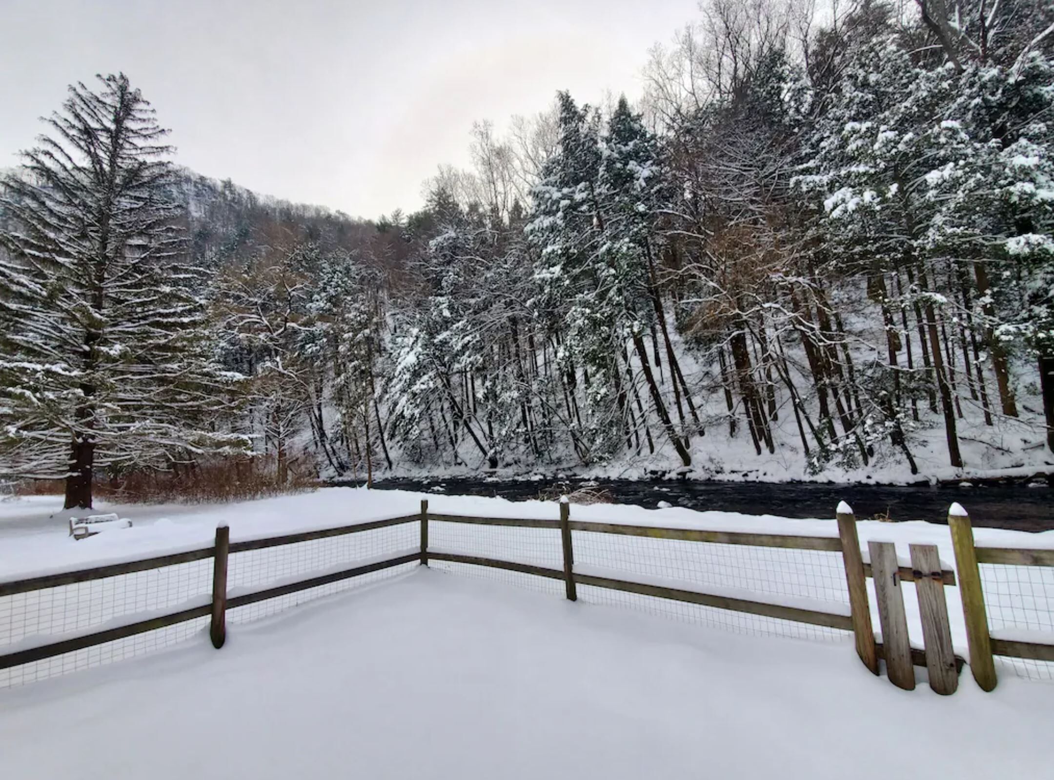Beautiful Waterfront Cabin, fantastic nature area near PSU
